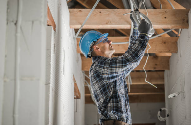 Best Electrical Rewiring Services  in Paisley, FL