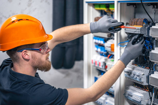 Best Electrical System Inspection  in Paisley, FL